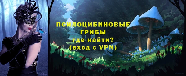 экстази Вяземский