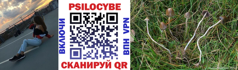 Псилоцибиновые грибы прущие грибы  Купить где  Кукмор 